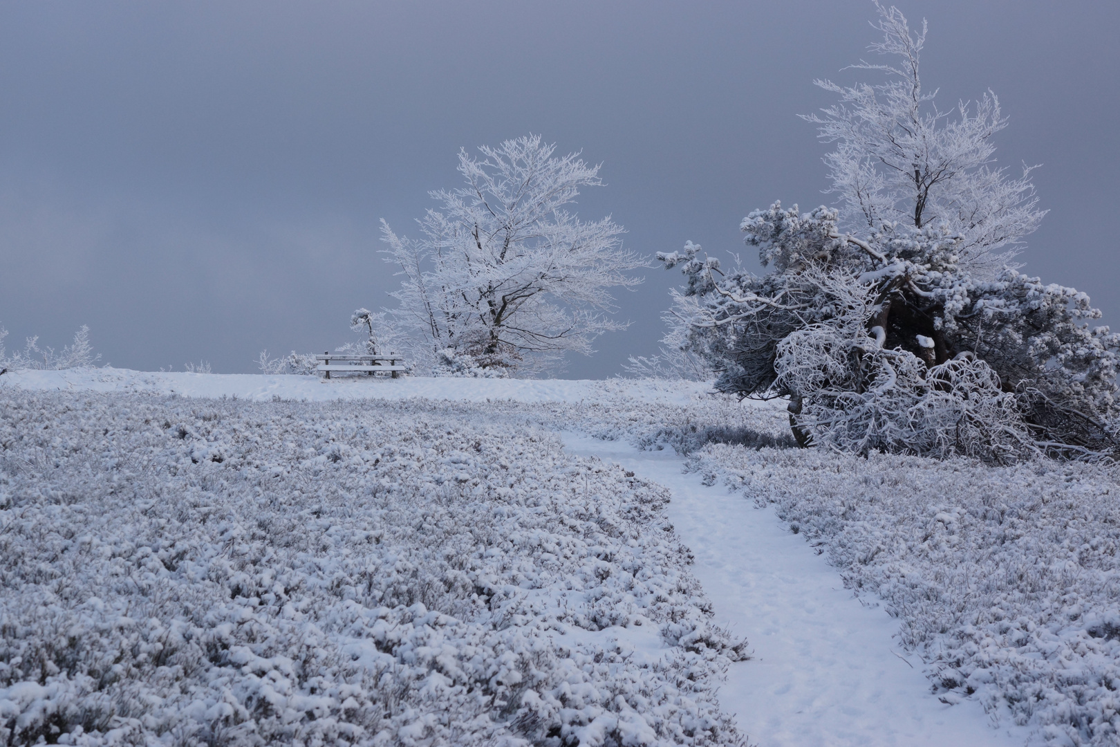 Kahler Asten Winterberg