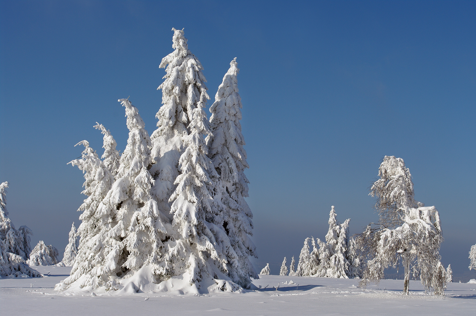 Kahler Asten, Winterlandschaft in der Hochheide