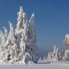 Kahler Asten, Winterlandschaft in der Hochheide