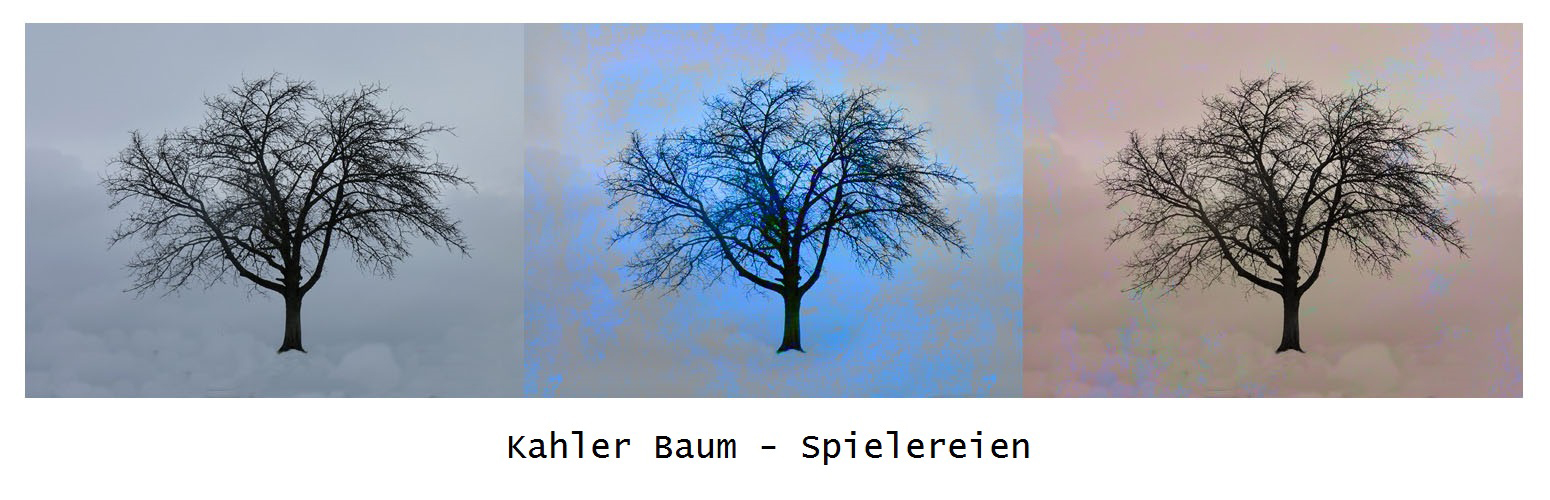 Kahler Baum - Spielereien