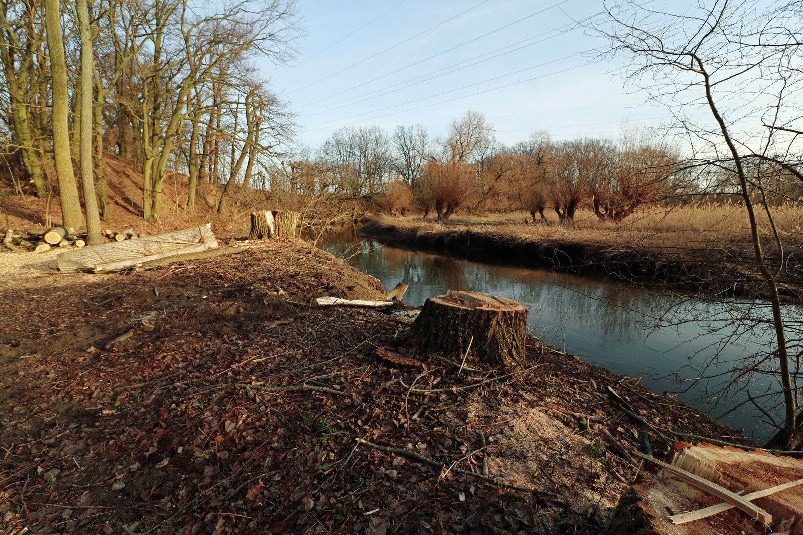 Kahlschlag am Fluss