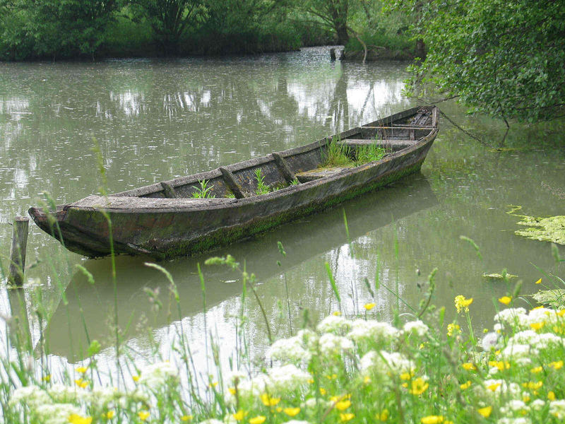 Kahn am Weiher