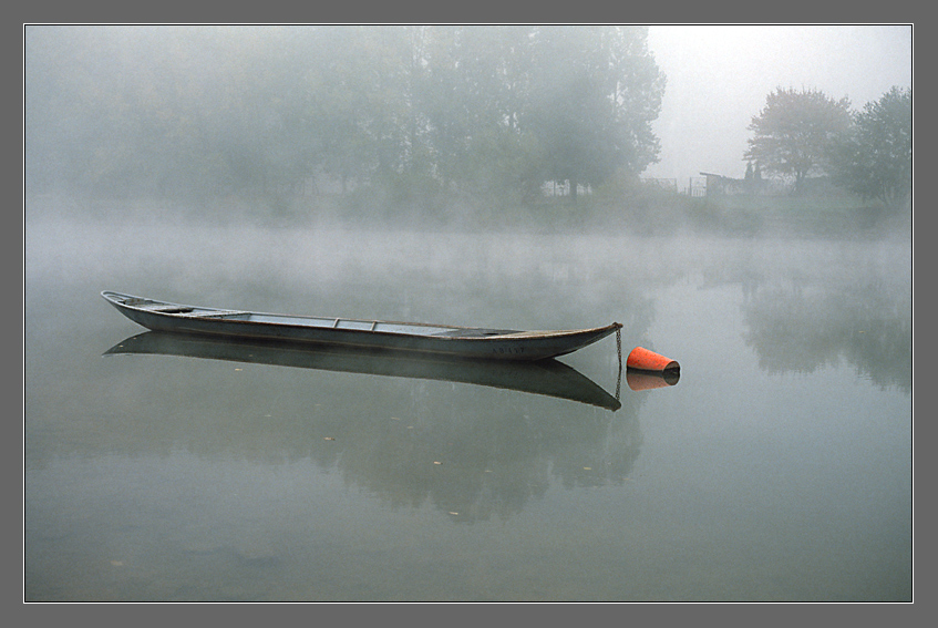 " Kahn im Morgennebel "