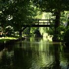 Kahnfahrt durch den Spreewald