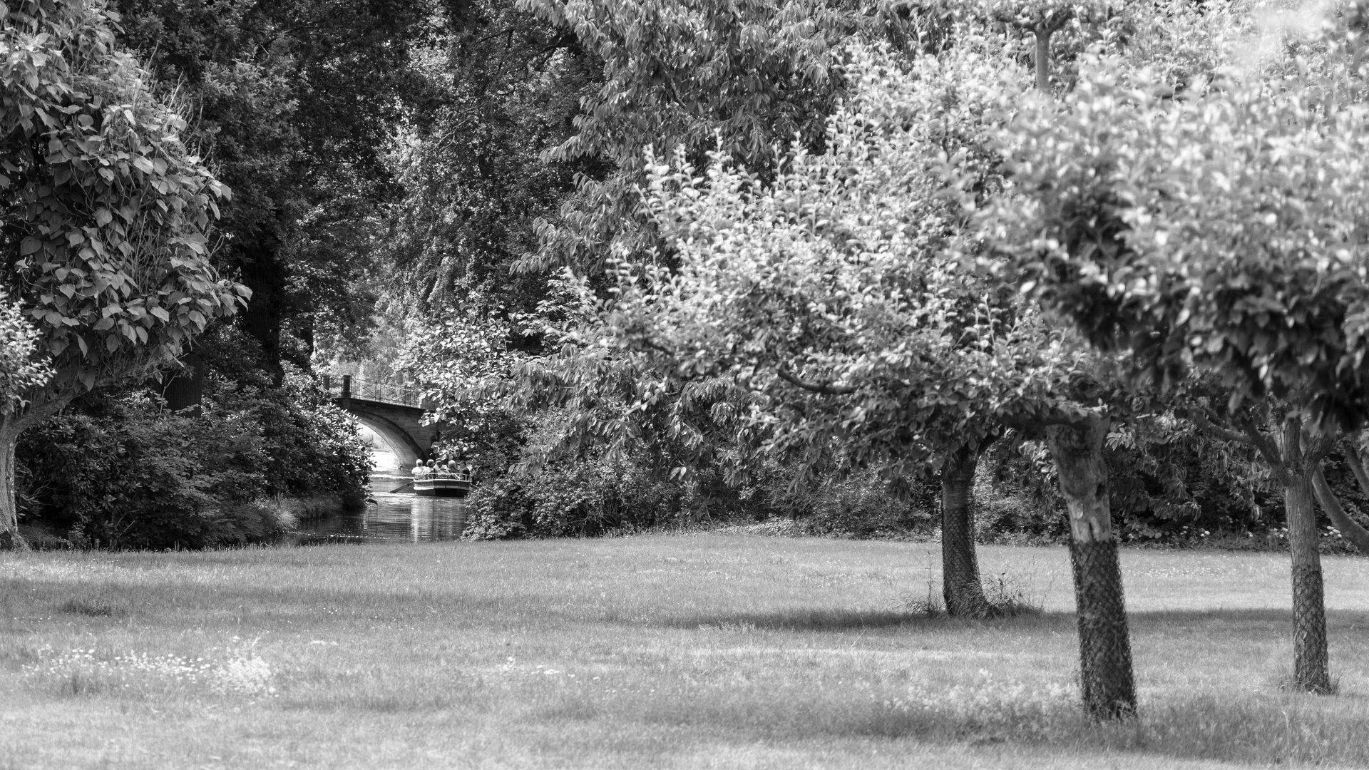 Kahnfahrt im Gartenreich