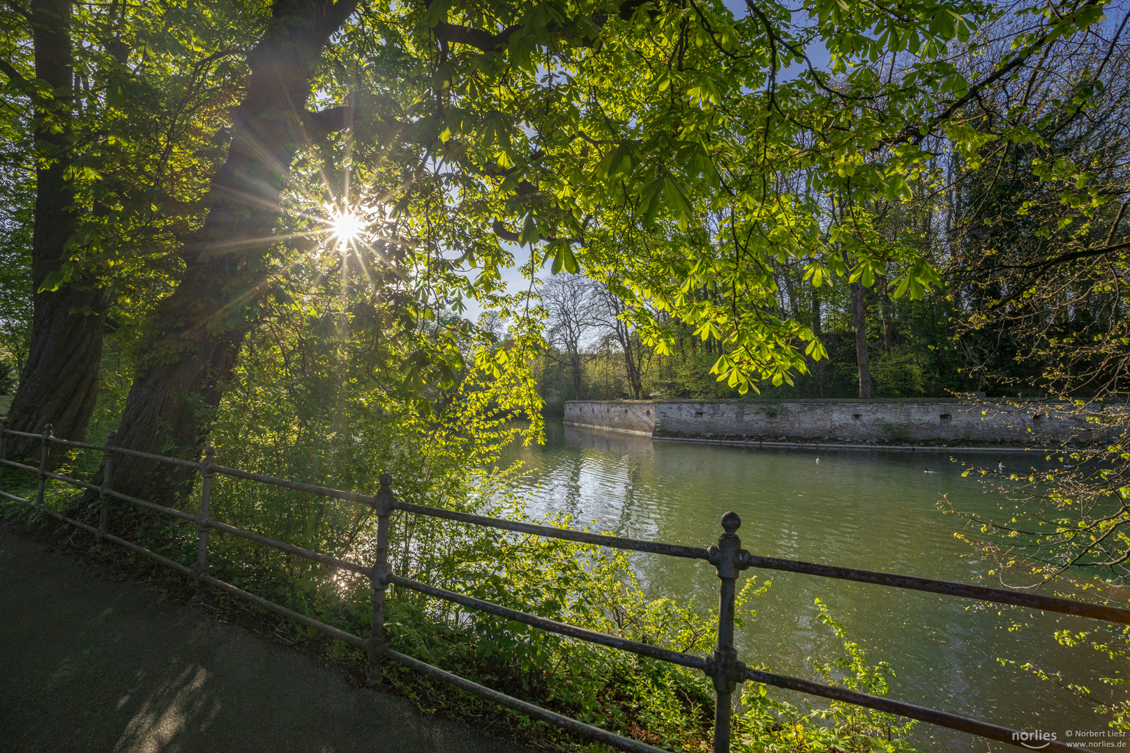 Kahnfahrt im Gegenlicht