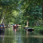 Kahnfahrt im Spreewald