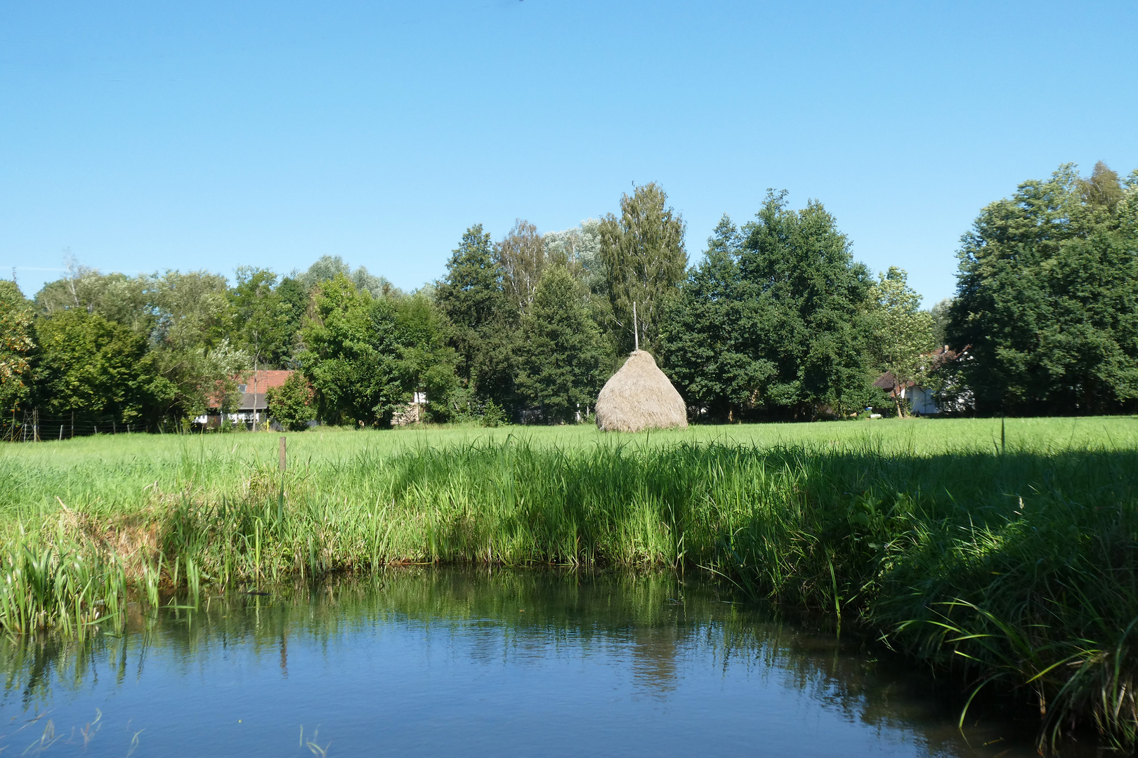 Kahnfahrt im Spreewald