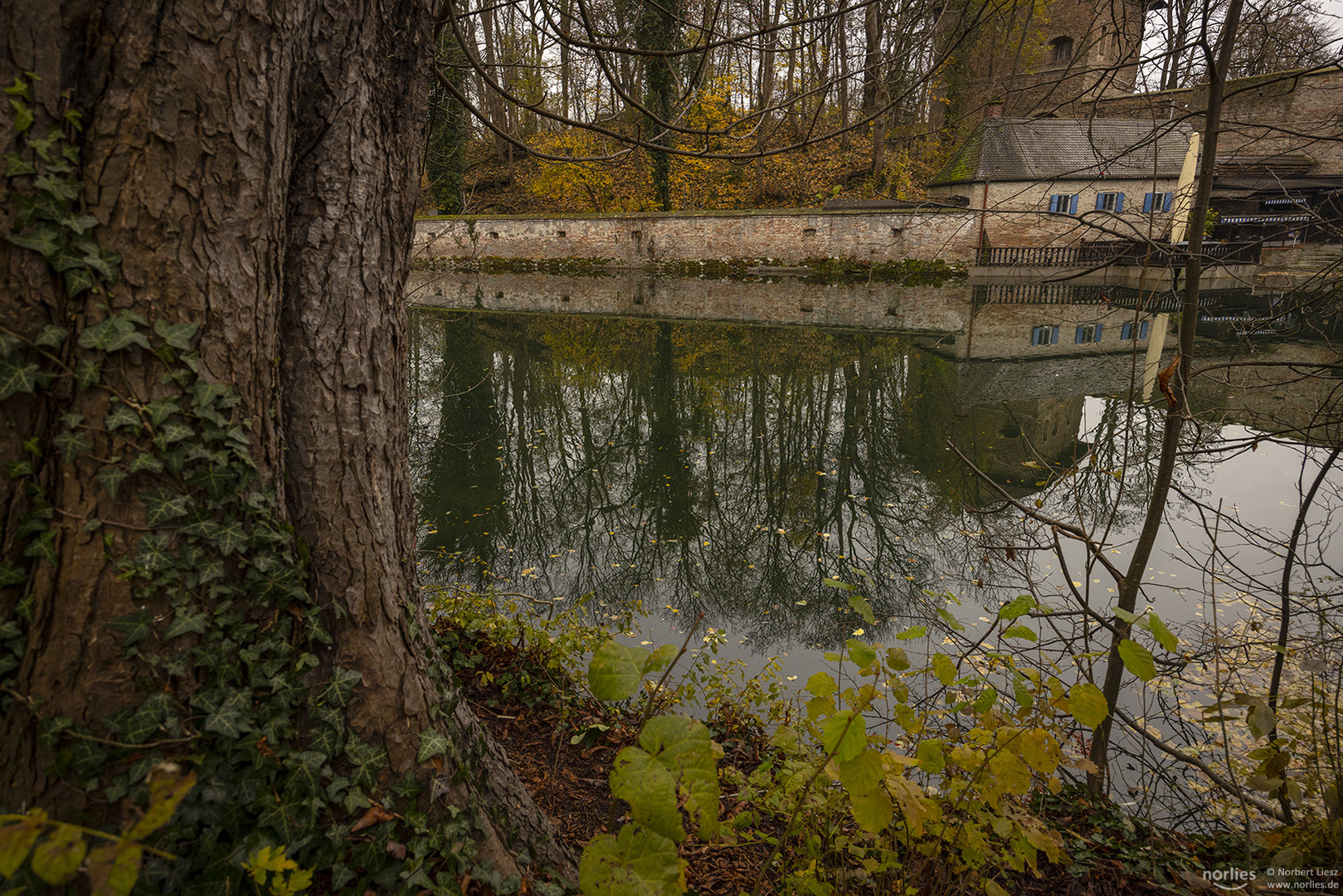 Kahnfahrt Spiegelung