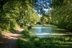 Kahnteich am Wall - Goslar/Harz