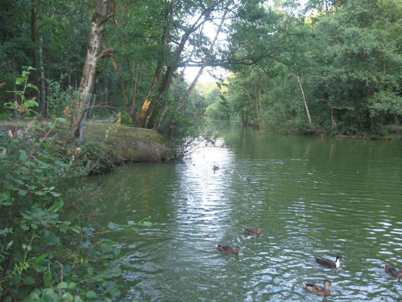 Kahnweiher in Gangelt