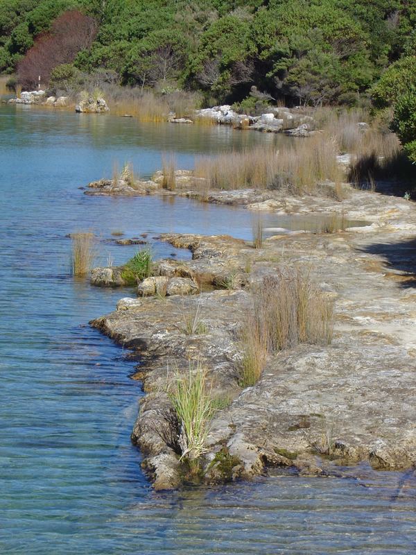 Kai Iwi Lakes (NZ)
