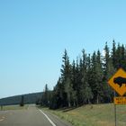 Kaibab Plateau