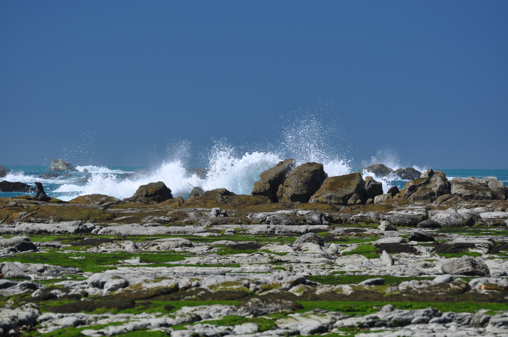 Kaikoura