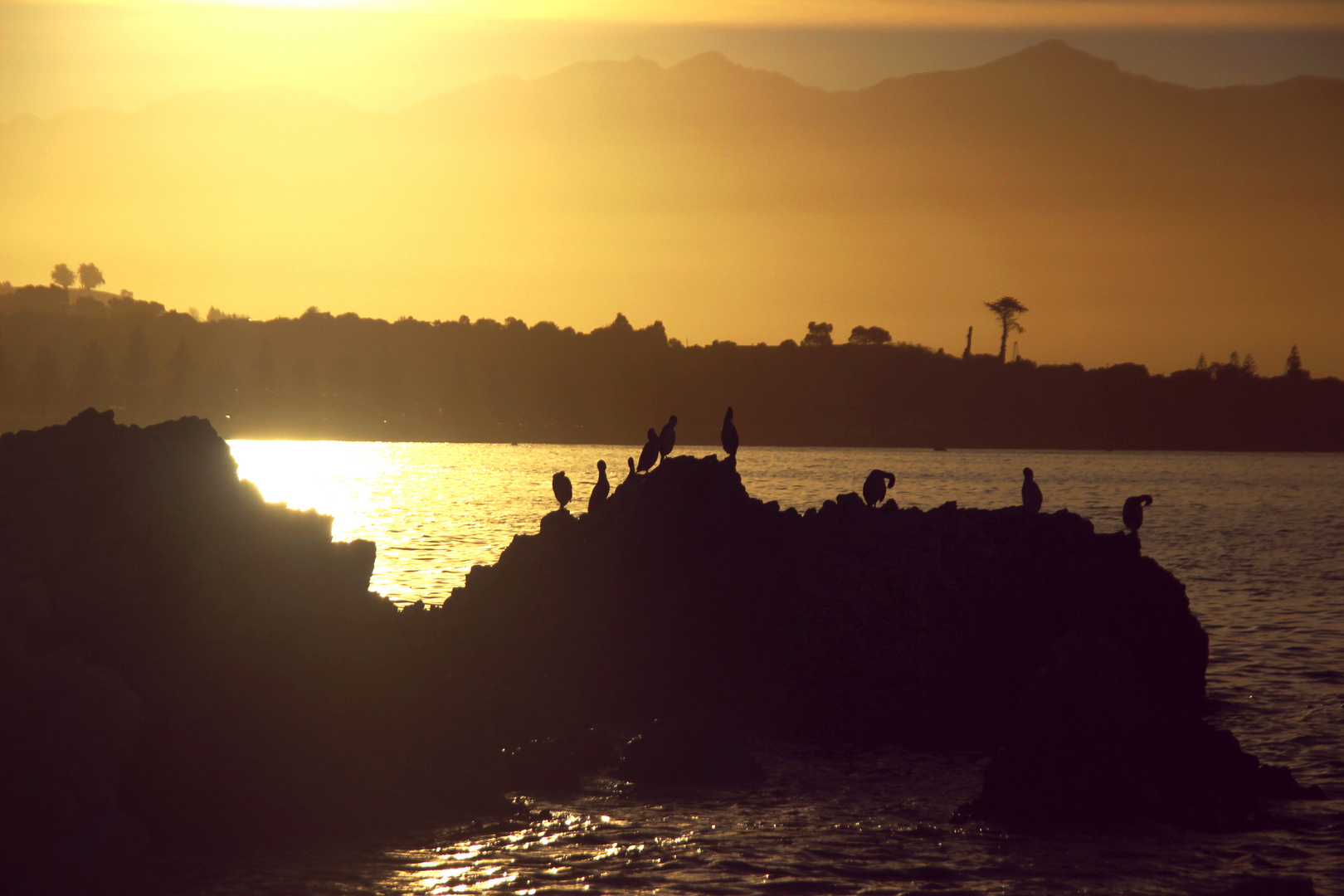 Kaikoura