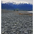 ~ Kaikoura Beach ~