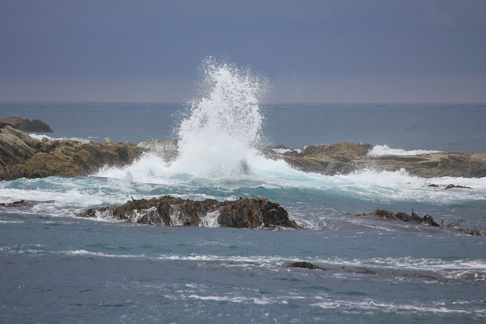 Kaikoura Beach in Neuseeland