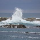 Kaikoura Beach in Neuseeland