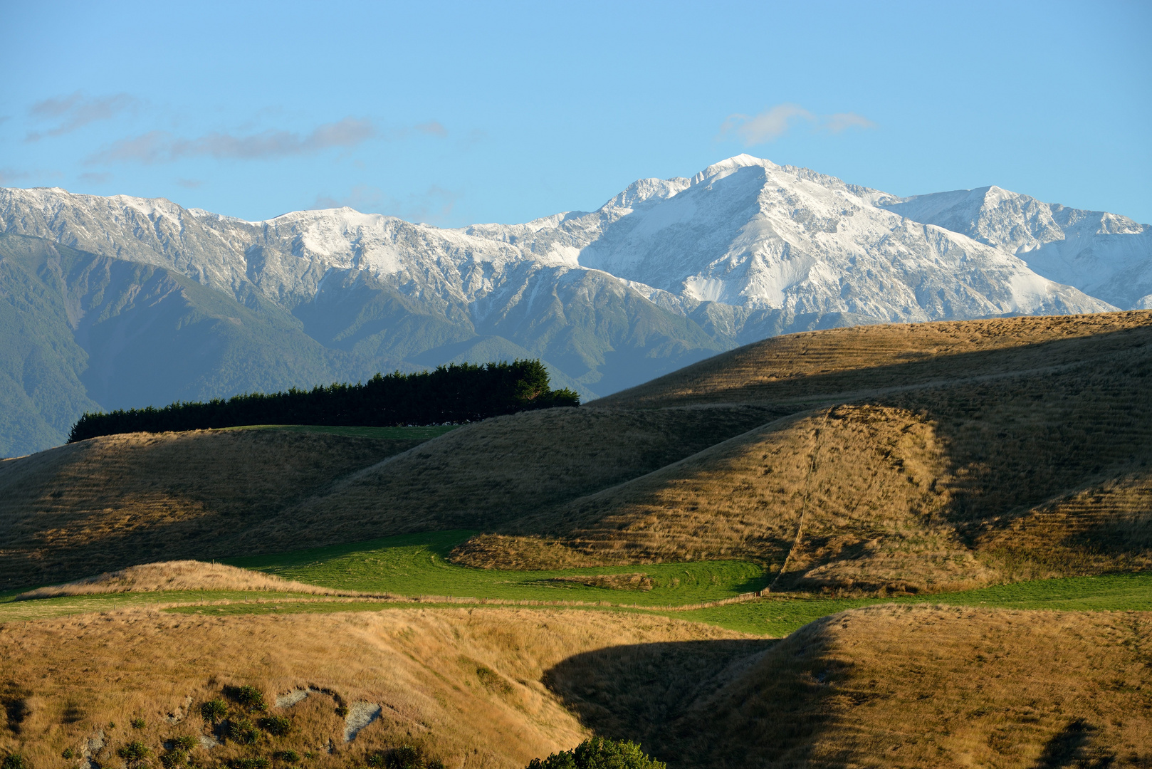 Kaikoura Halbinsel 1