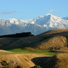 Kaikoura Halbinsel 1