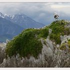 Kaikoura - New Zealand