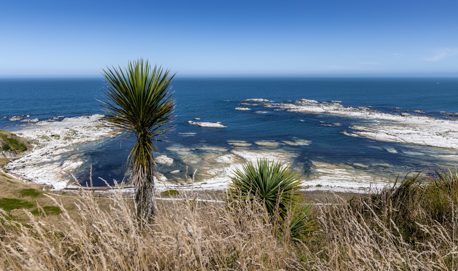 Kaikoura - NZ