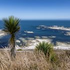 Kaikoura - NZ