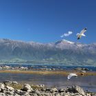 Kaikoura, NZ