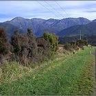 Kaikoura Range