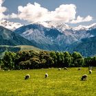 Kaikoura Ranges