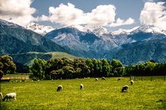 Kaikoura Ranges