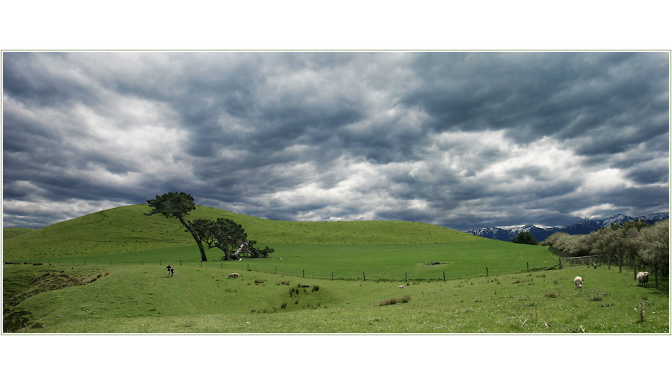 kaikoura.peninsula