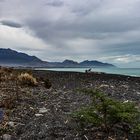 Kaikura`s Beach