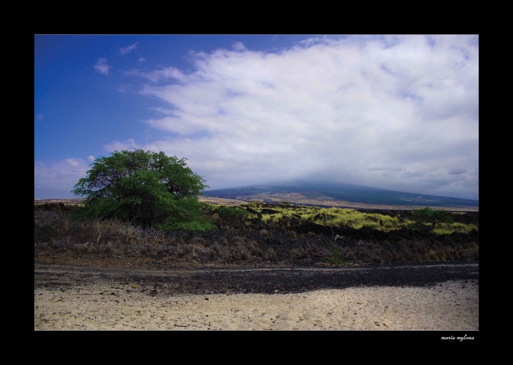 Kailua Kona Beach ~