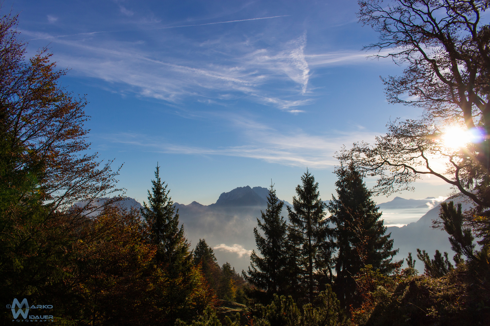 Kaiser am Morgen