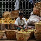 kaiser der paradeiser (österr. für tomaten) ;-) , markt in pyin Oo lwyn, burma 2011