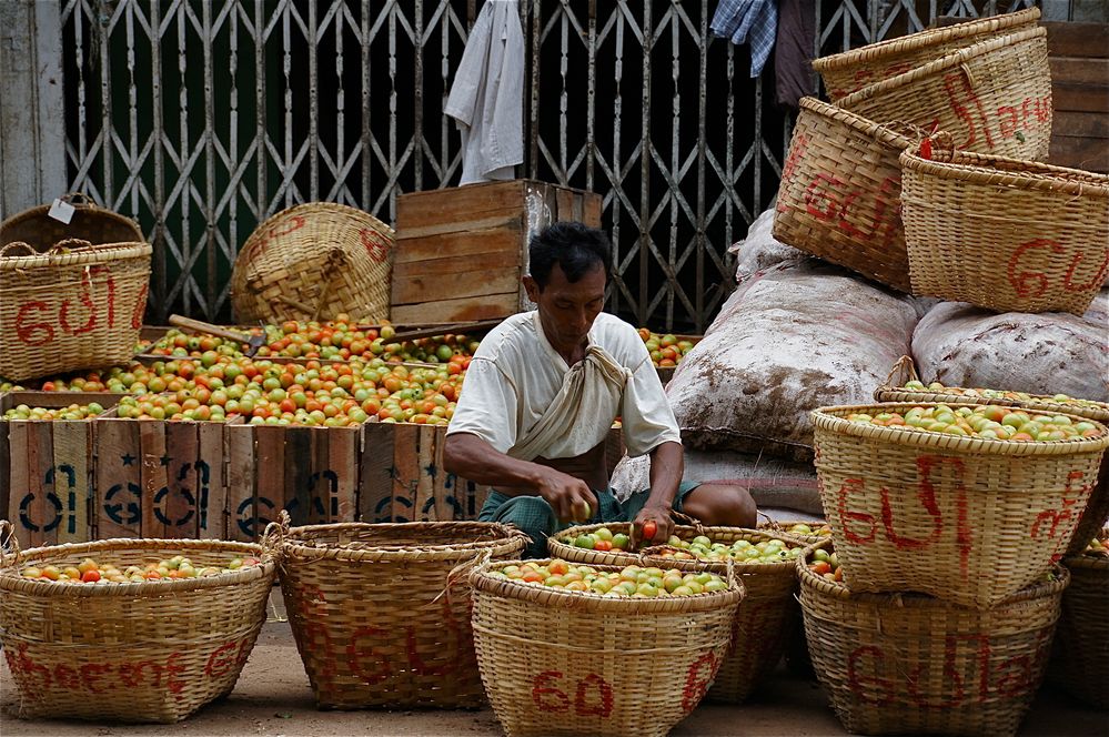 kaiser der paradeiser (österr. für tomaten) ;-) , markt in pyin Oo lwyn, burma 2011