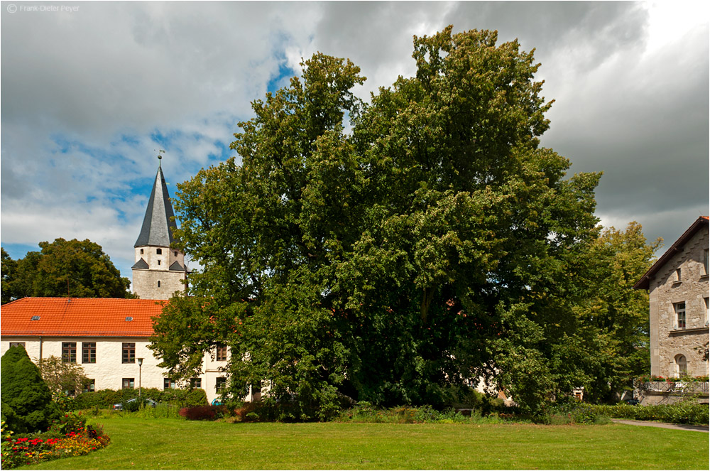 Kaiser-Lothar-Linde