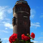 Kaiser und Hansestadt Tangermünde