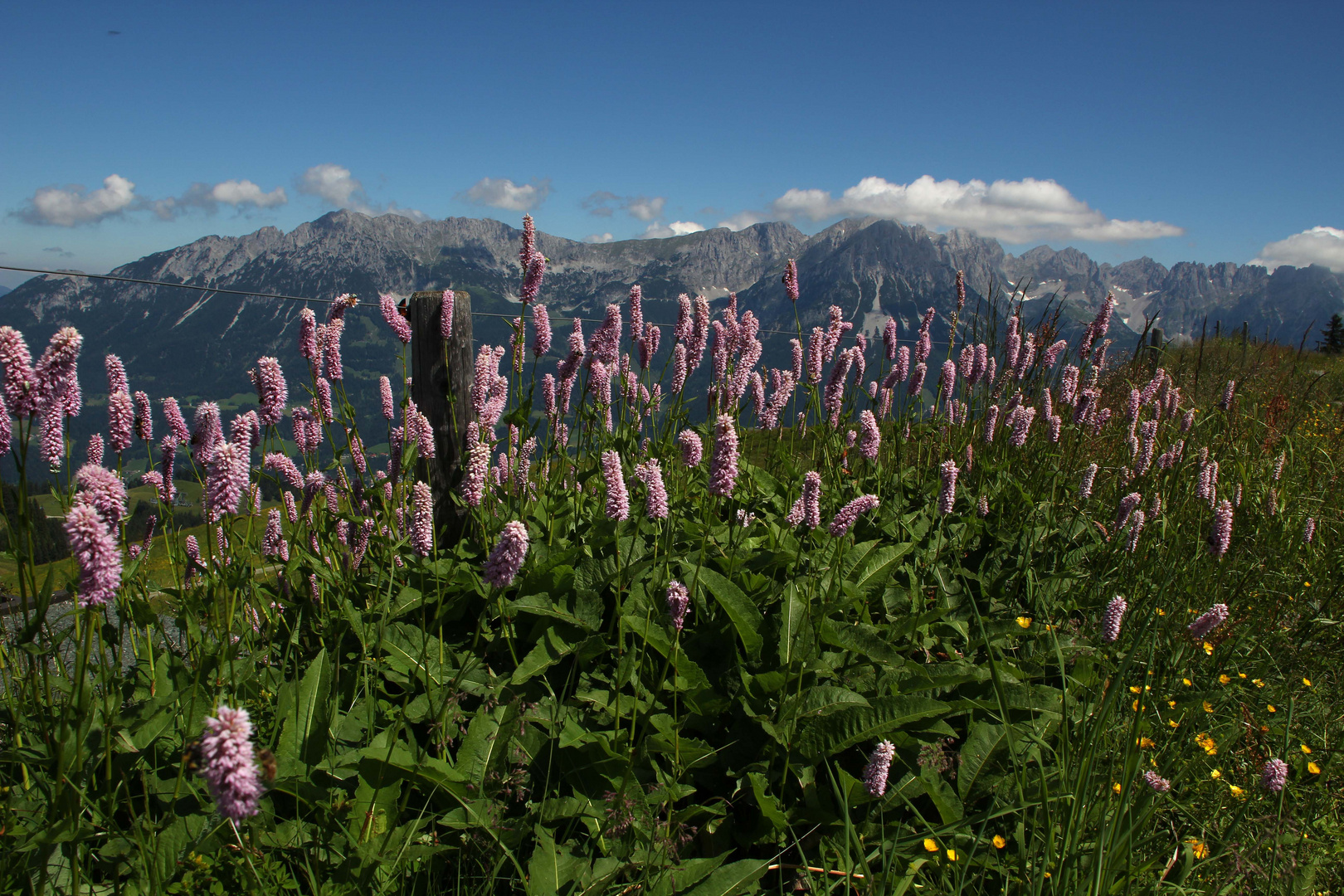 Kaiser-Wetter