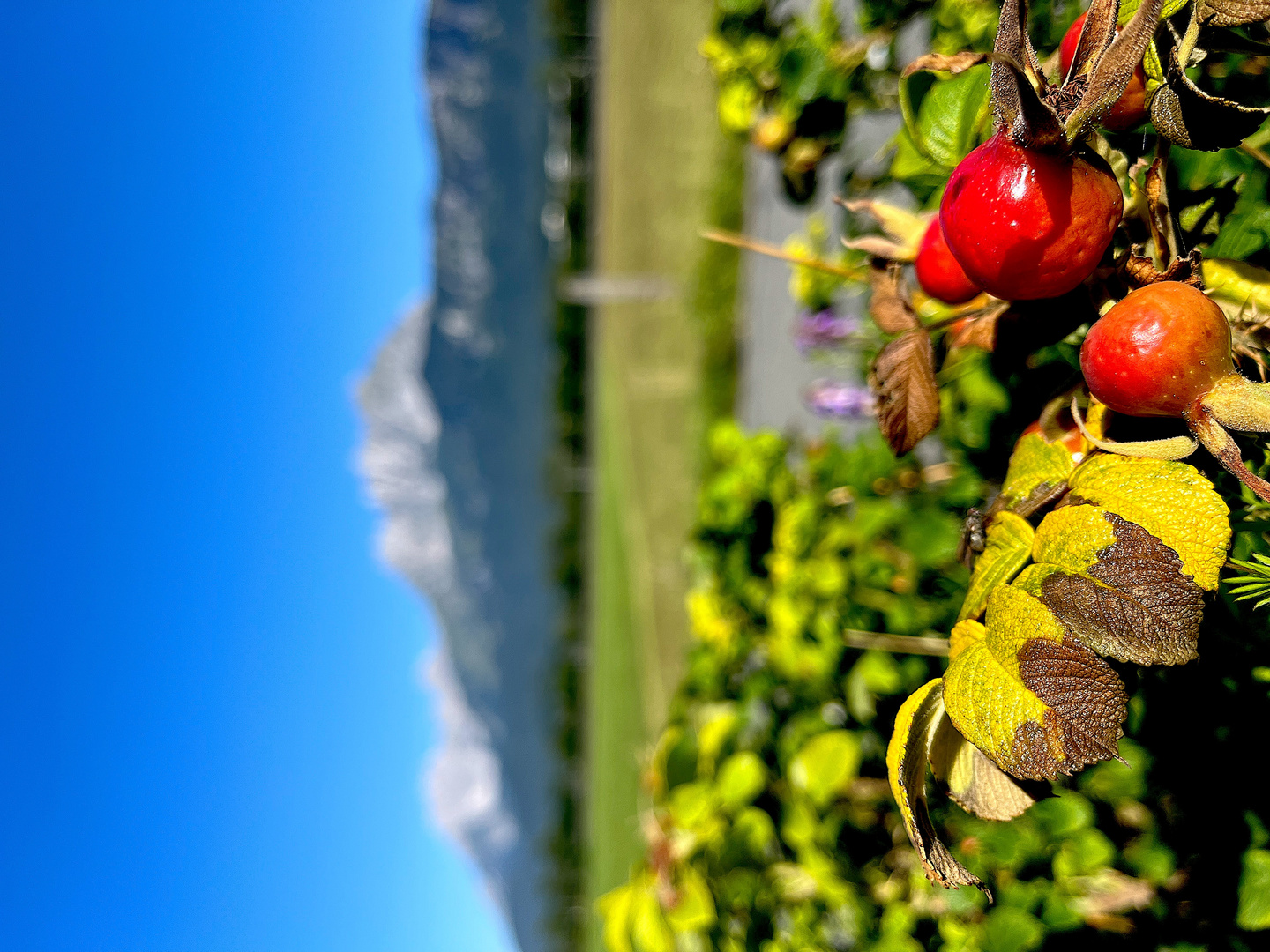 Kaiserblick