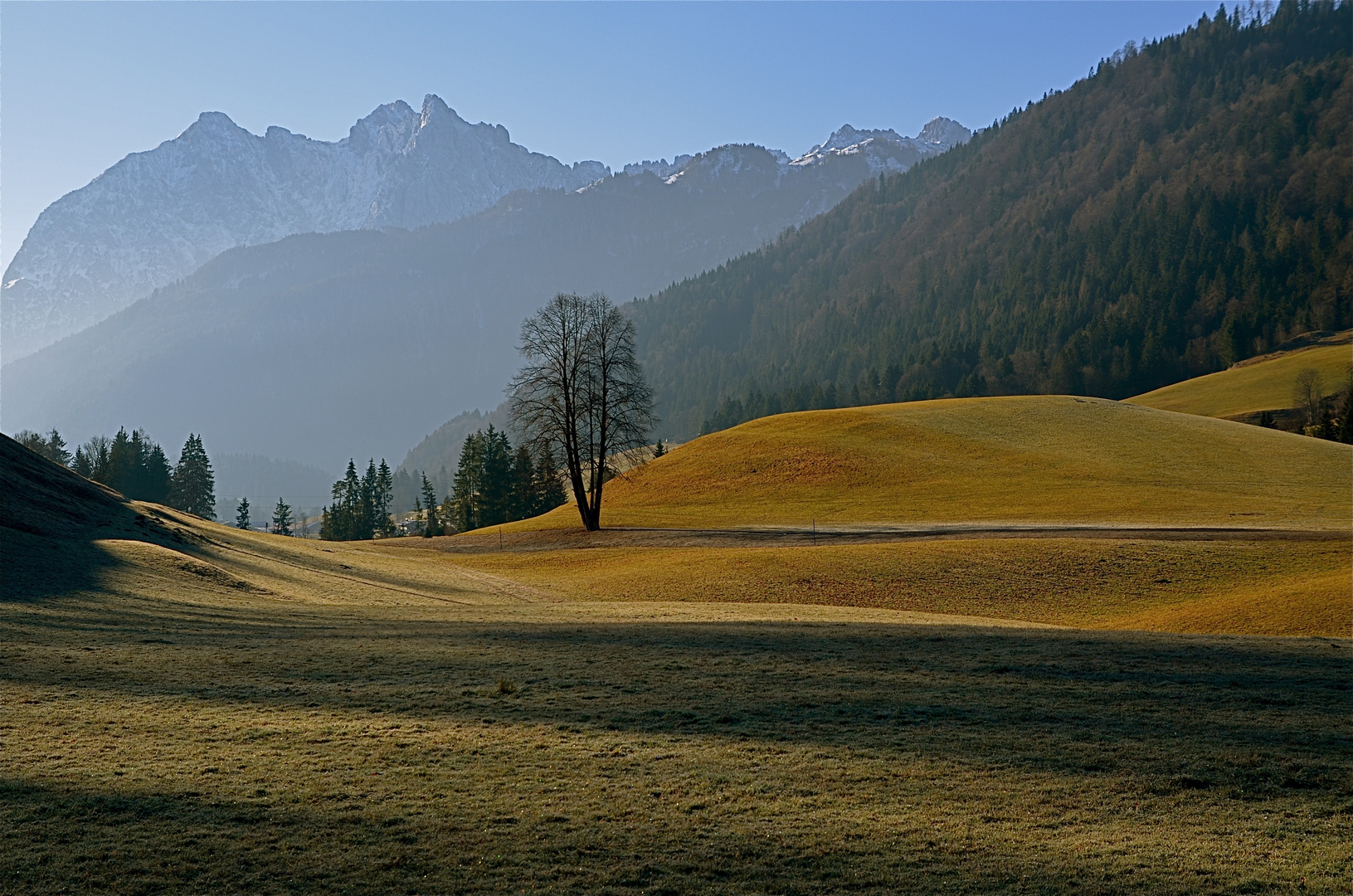 Kaiserblick