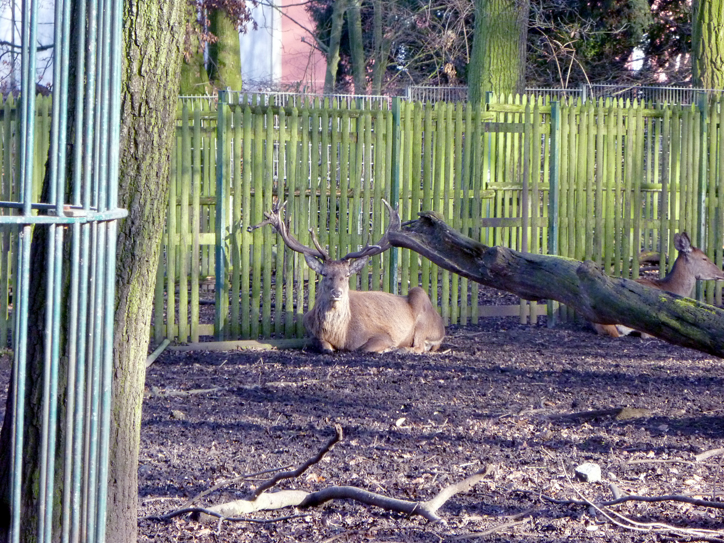 Kaisergarten