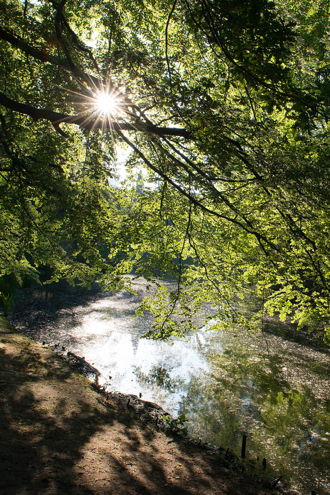 Kaisergarten Foto & Bild natur, see, landschaft Bilder