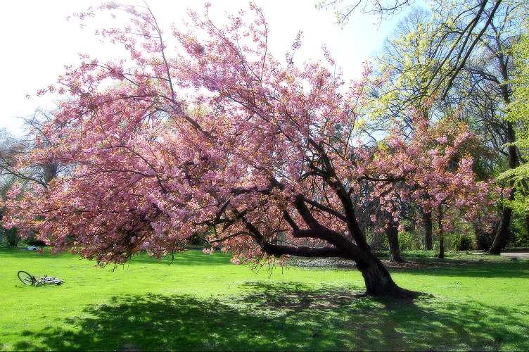 Kaisergarten Oberhausen