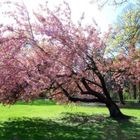 Kaisergarten Oberhausen