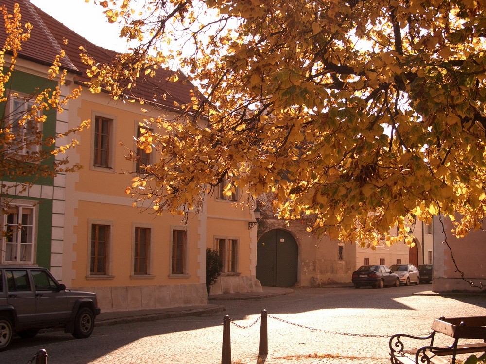 Kaisergelb und Herbstgelb