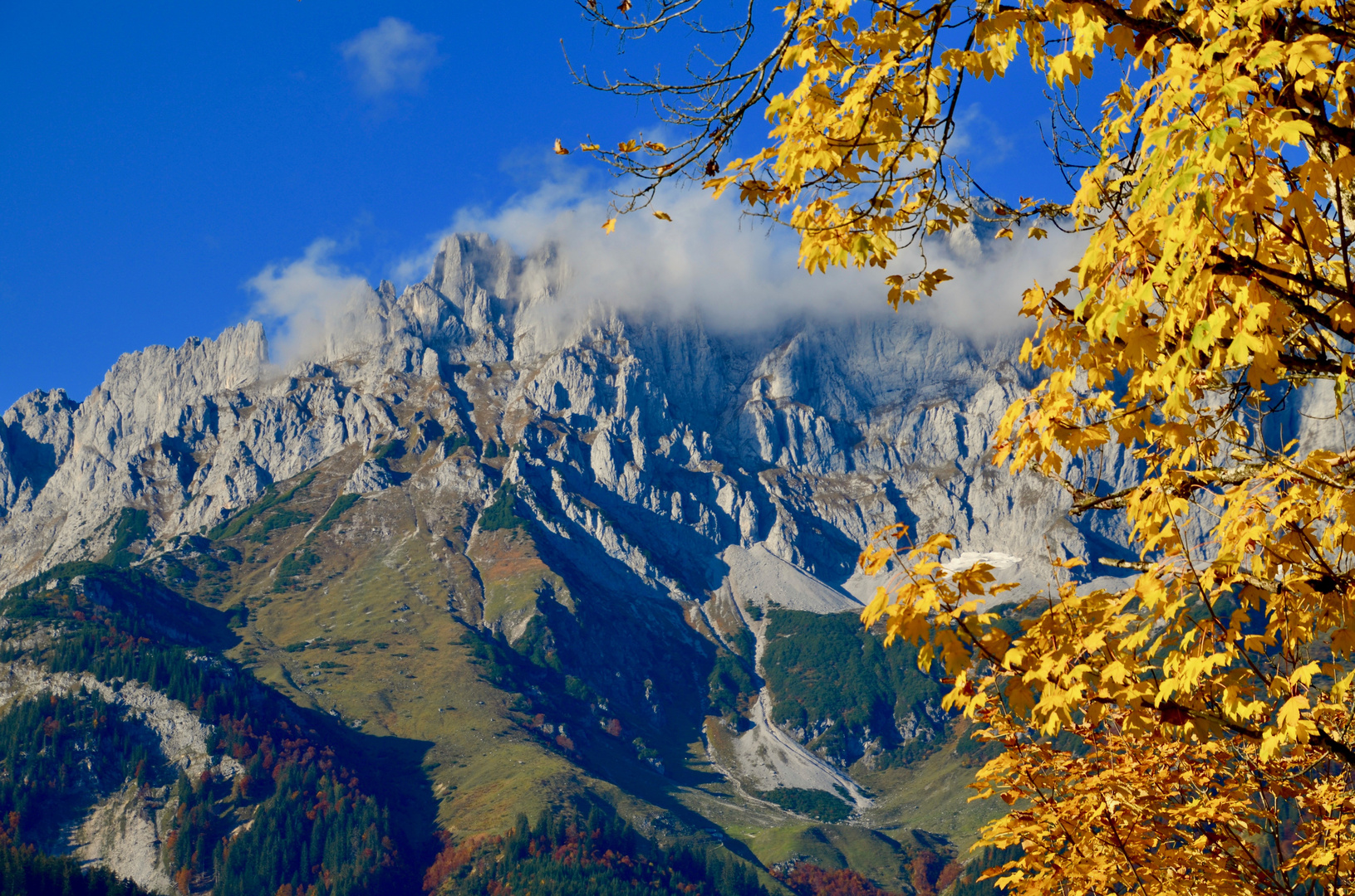 Kaiserherbst