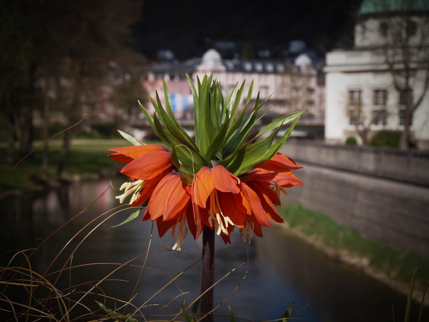 Kaiserkrone in Bad Kissingen