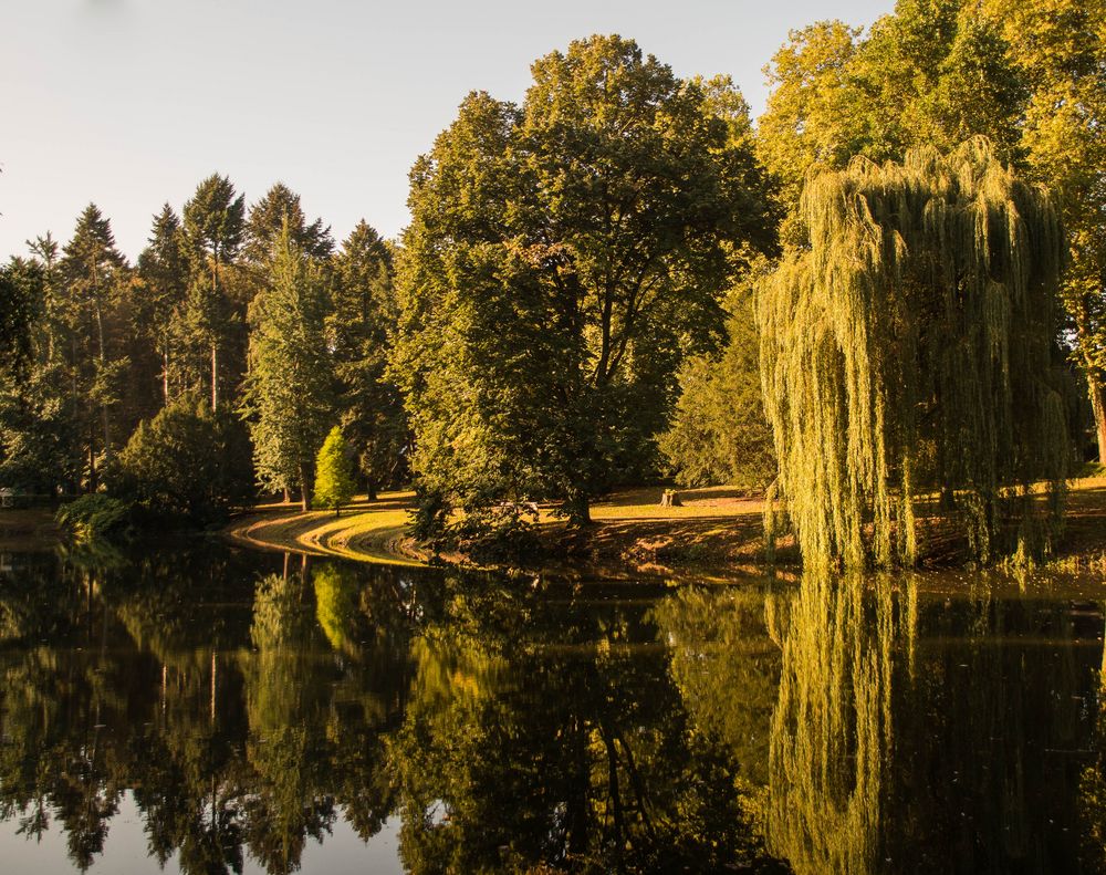 Kaiserpark Krefeld Spiegelung 2